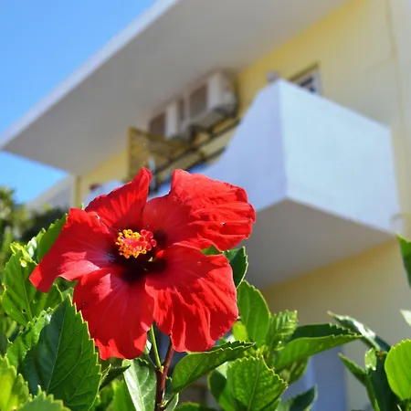 Apartament Yiannis