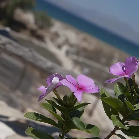 Διαμέρισμα Yiannis *